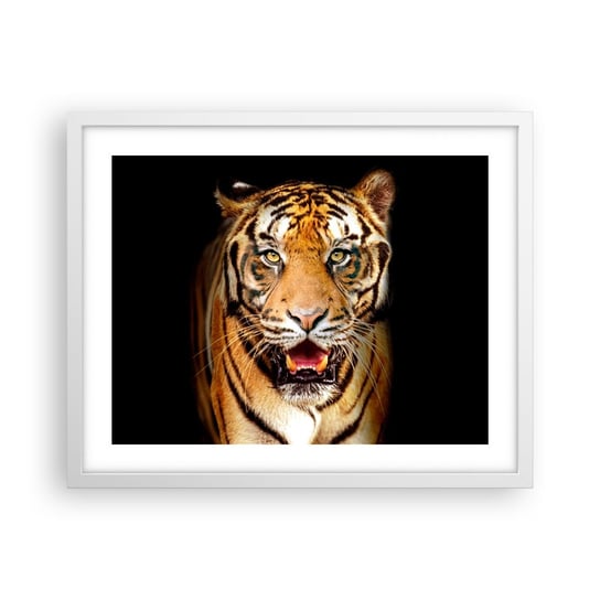 Obraz - Plakat - Dzikość serca - 50x40cm - Zwierzęta Tygrys Drapieżnik - Foto Plakaty w ramie koloru białego do Salonu Sypialni ARTTOR ARTTOR