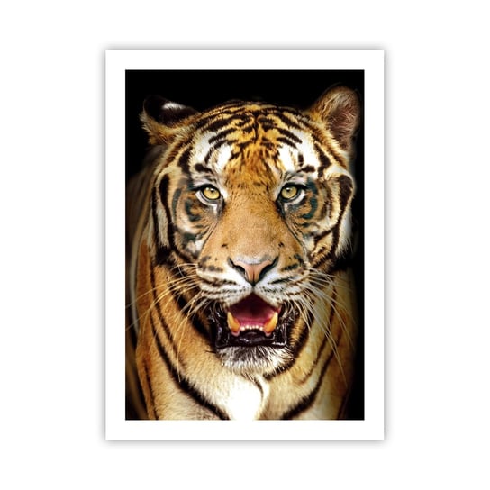 Obraz - Plakat - Dzikość serca - 50x70cm - Zwierzęta Tygrys Drapieżnik - Nowoczesny modny obraz Plakat bez ramy do Salonu Sypialni ARTTOR ARTTOR