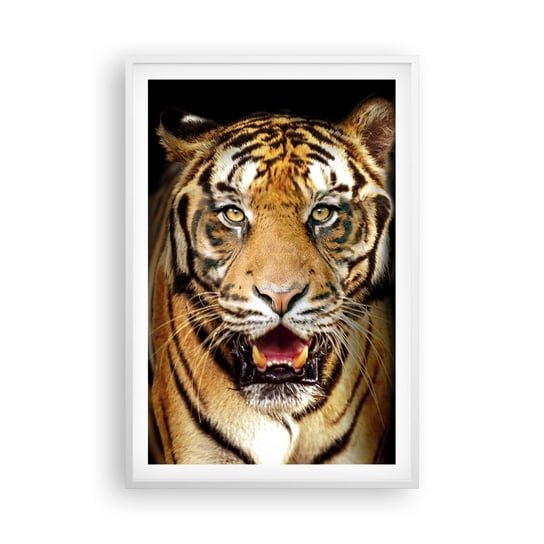 Obraz - Plakat - Dzikość serca - 61x91cm - Zwierzęta Tygrys Drapieżnik - Foto Plakaty na ścianę w ramie białej - Plakat do Salonu Sypialni ARTTOR ARTTOR