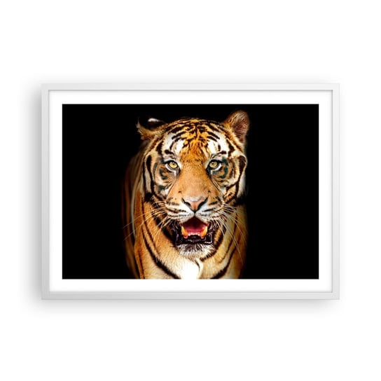 Obraz - Plakat - Dzikość serca - 70x50cm - Zwierzęta Tygrys Drapieżnik - Nowoczesny modny obraz Plakat rama biała ARTTOR ARTTOR