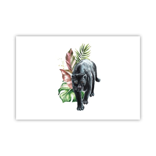 Obraz - Plakat - Dzikość serca - 91x61cm - Czarna Pantera Zwierzęta Natura - Foto Plakaty na ścianę bez ramy - Plakat do Salonu Sypialni ARTTOR ARTTOR