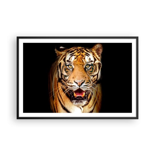 Obraz - Plakat - Dzikość serca - 91x61cm - Zwierzęta Tygrys Drapieżnik - Foto Plakaty na ścianę w czarnej ramie - Plakat do Salonu Sypialni ARTTOR ARTTOR