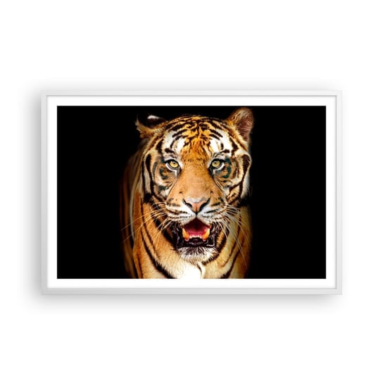 Obraz - Plakat - Dzikość serca - 91x61cm - Zwierzęta Tygrys Drapieżnik - Foto Plakaty na ścianę w ramie białej - Plakat do Salonu Sypialni ARTTOR ARTTOR