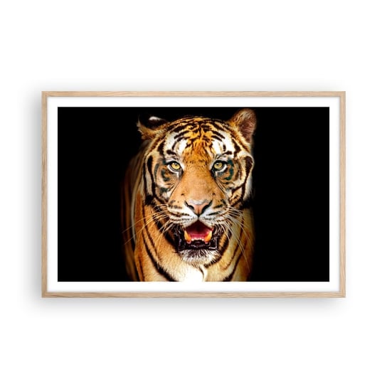Obraz - Plakat - Dzikość serca - 91x61cm - Zwierzęta Tygrys Drapieżnik - Foto Plakaty na ścianę w ramie jasny dąb - Plakat do Salonu Sypialni ARTTOR ARTTOR