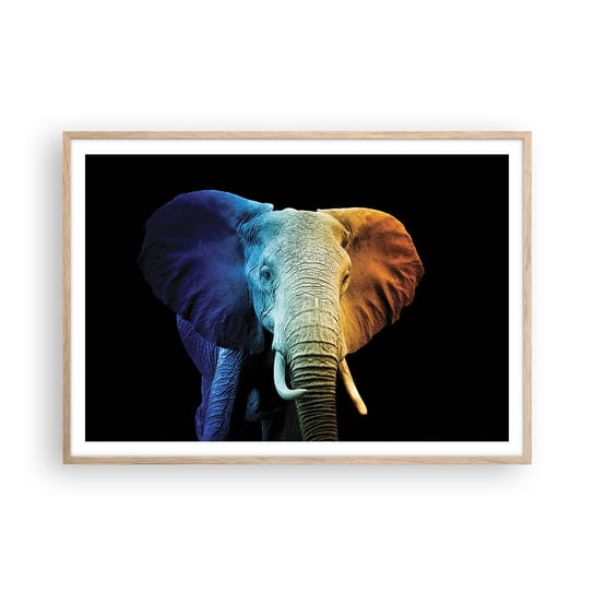 Obraz - Plakat - Ekscentryk, nie dziwak - 100x70cm - Abstrakcja Słoń Zwierzęta - Foto Plakaty w ramie koloru jasny dąb do Salonu Sypialni ARTTOR ARTTOR