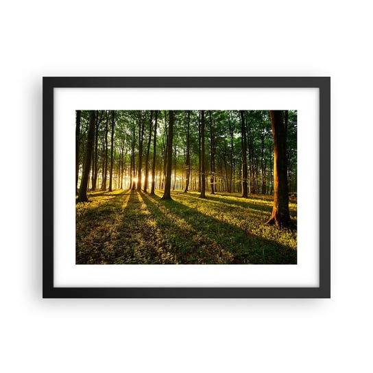 Obraz - Plakat - Fotografia wszystkich wiosen - 40x30cm - Krajobraz Las Natura - Foto Plakaty na ścianę w czarnej ramie - Plakat do Salonu Sypialni ARTTOR ARTTOR