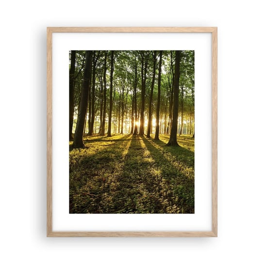 Obraz - Plakat - Fotografia wszystkich wiosen - 40x50cm - Krajobraz Las Natura - Foto Plakaty w ramie koloru jasny dąb do Salonu Sypialni ARTTOR ARTTOR