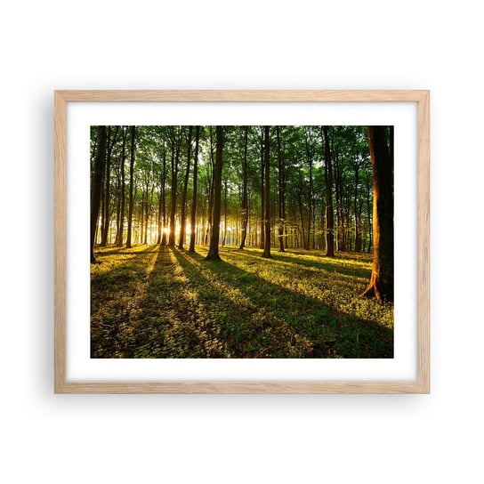 Obraz - Plakat - Fotografia wszystkich wiosen - 50x40cm - Krajobraz Las Natura - Foto Plakaty w ramie koloru jasny dąb do Salonu Sypialni ARTTOR ARTTOR