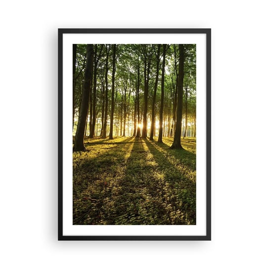 Obraz - Plakat - Fotografia wszystkich wiosen - 50x70cm - Krajobraz Las Natura - Nowoczesny modny obraz Plakat czarna rama ARTTOR ARTTOR