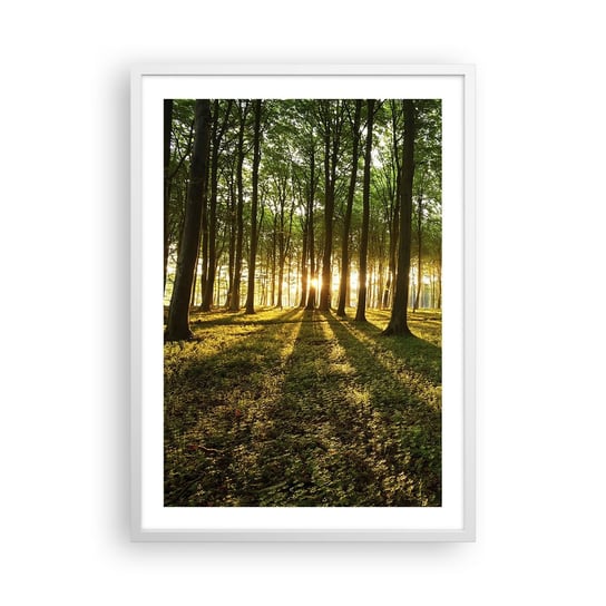 Obraz - Plakat - Fotografia wszystkich wiosen - 50x70cm - Krajobraz Las Natura - Nowoczesny modny obraz Plakat rama biała ARTTOR ARTTOR