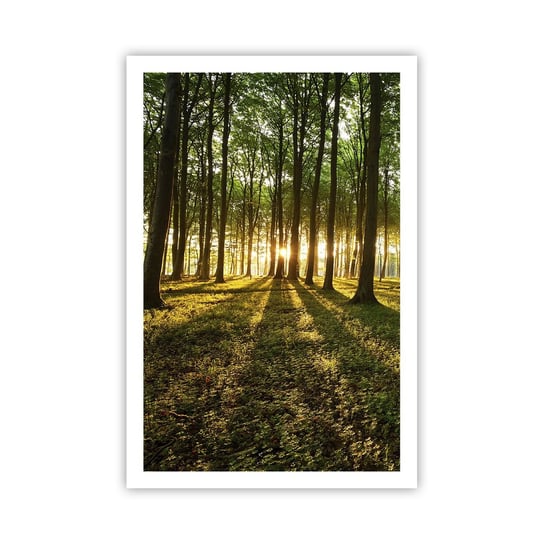 Obraz - Plakat - Fotografia wszystkich wiosen - 61x91cm - Krajobraz Las Natura - Foto Plakaty na ścianę bez ramy - Plakat do Salonu Sypialni ARTTOR ARTTOR