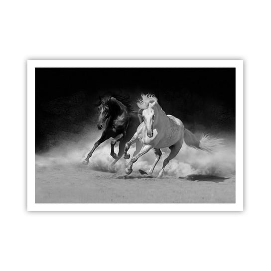 Obraz - Plakat - Galop wolności - 100x70cm - Zwierzęta Koń Galop - Foto Plakaty bez ramy na ścianę do Salonu Sypialni ARTTOR ARTTOR