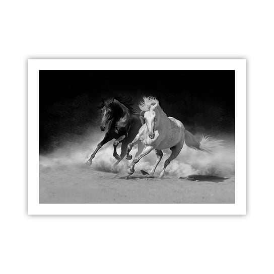 Obraz - Plakat - Galop wolności - 70x50cm - Zwierzęta Koń Galop - Nowoczesny modny obraz Plakat bez ramy do Salonu Sypialni ARTTOR ARTTOR