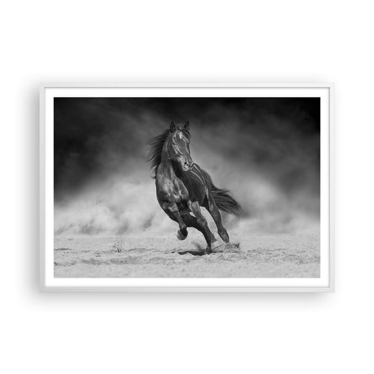 Obraz - Plakat - Godny samego emira - 100x70cm - Koń Zwierzęta Natura - Foto Plakaty w ramie koloru białego do Salonu Sypialni ARTTOR ARTTOR