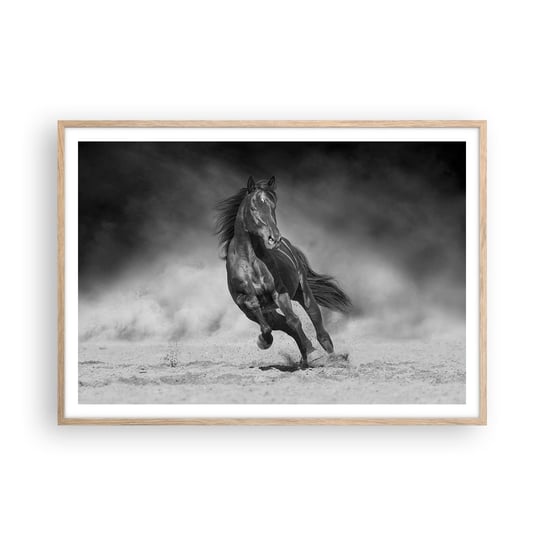 Obraz - Plakat - Godny samego emira - 100x70cm - Koń Zwierzęta Natura - Foto Plakaty w ramie koloru jasny dąb do Salonu Sypialni ARTTOR ARTTOR