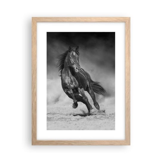 Obraz - Plakat - Godny samego emira - 30x40cm - Koń Zwierzęta Natura - Foto Plakaty na ścianę w ramie jasny dąb - Plakat do Salonu Sypialni ARTTOR ARTTOR