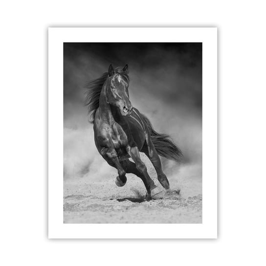 Obraz - Plakat - Godny samego emira - 40x50cm - Koń Zwierzęta Natura - Foto Plakaty bez ramy do Salonu Sypialni ARTTOR ARTTOR