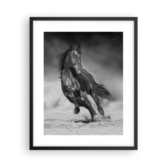 Obraz - Plakat - Godny samego emira - 40x50cm - Koń Zwierzęta Natura - Foto Plakaty w ramie koloru czarnego do Salonu Sypialni ARTTOR ARTTOR