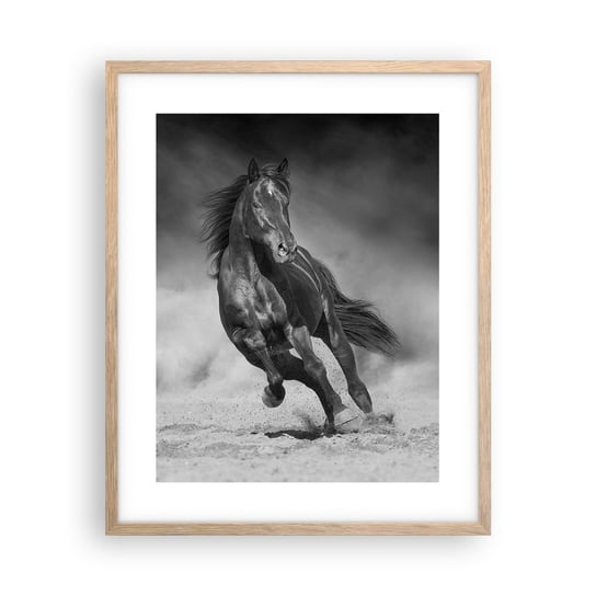 Obraz - Plakat - Godny samego emira - 40x50cm - Koń Zwierzęta Natura - Foto Plakaty w ramie koloru jasny dąb do Salonu Sypialni ARTTOR ARTTOR