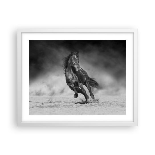 Obraz - Plakat - Godny samego emira - 50x40cm - Koń Zwierzęta Natura - Foto Plakaty w ramie koloru białego do Salonu Sypialni ARTTOR ARTTOR