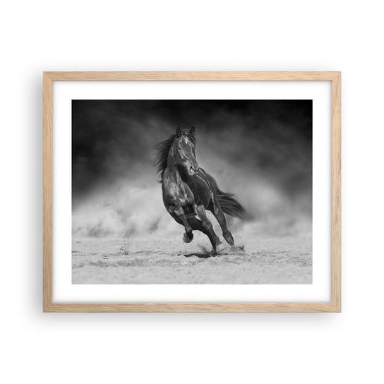 Obraz - Plakat - Godny samego emira - 50x40cm - Koń Zwierzęta Natura - Foto Plakaty w ramie koloru jasny dąb do Salonu Sypialni ARTTOR ARTTOR