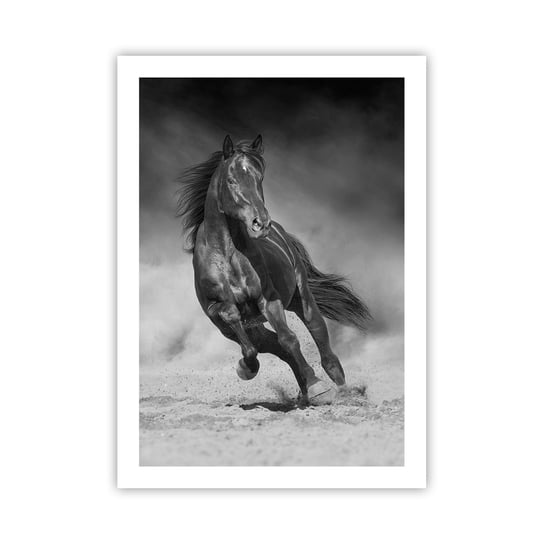 Obraz - Plakat - Godny samego emira - 50x70cm - Koń Zwierzęta Natura - Nowoczesny modny obraz Plakat bez ramy do Salonu Sypialni ARTTOR ARTTOR