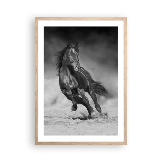 Obraz - Plakat - Godny samego emira - 50x70cm - Koń Zwierzęta Natura - Nowoczesny modny obraz Plakat rama jasny dąb ARTTOR ARTTOR