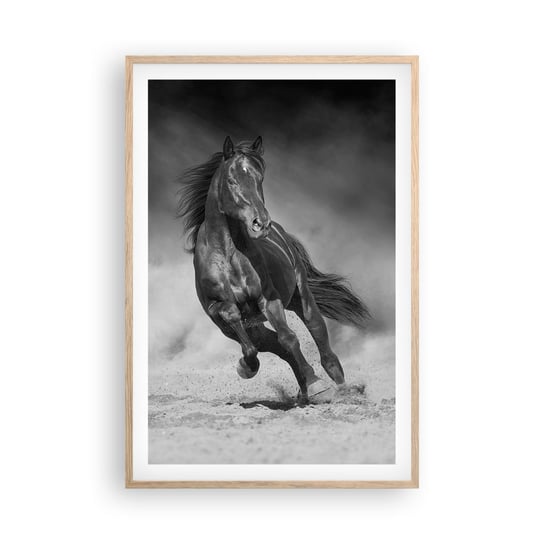 Obraz - Plakat - Godny samego emira - 61x91cm - Koń Zwierzęta Natura - Foto Plakaty na ścianę w ramie jasny dąb - Plakat do Salonu Sypialni ARTTOR ARTTOR