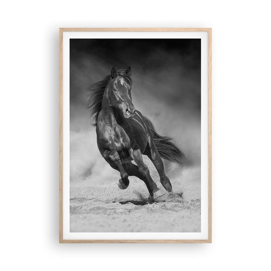 Obraz - Plakat - Godny samego emira - 70x100cm - Koń Zwierzęta Natura - Foto Plakaty w ramie koloru jasny dąb do Salonu Sypialni ARTTOR ARTTOR