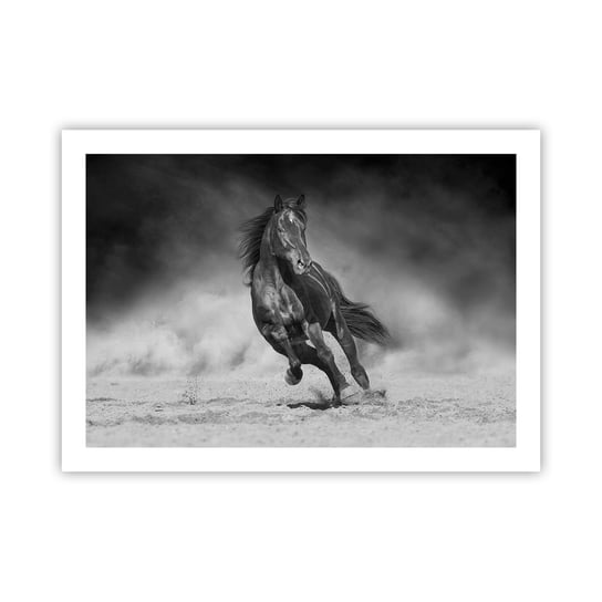 Obraz - Plakat - Godny samego emira - 70x50cm - Koń Zwierzęta Natura - Nowoczesny modny obraz Plakat bez ramy do Salonu Sypialni ARTTOR ARTTOR
