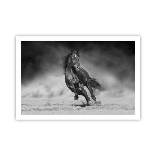 Obraz - Plakat - Godny samego emira - 91x61cm - Koń Zwierzęta Natura - Foto Plakaty na ścianę bez ramy - Plakat do Salonu Sypialni ARTTOR ARTTOR
