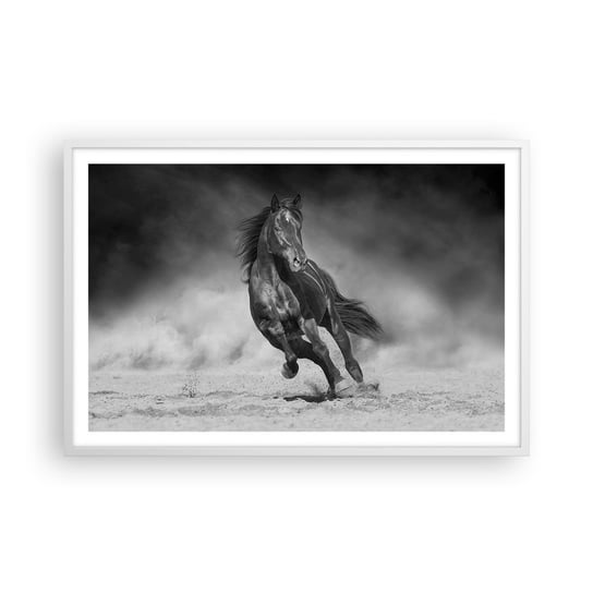 Obraz - Plakat - Godny samego emira - 91x61cm - Koń Zwierzęta Natura - Foto Plakaty na ścianę w ramie białej - Plakat do Salonu Sypialni ARTTOR ARTTOR