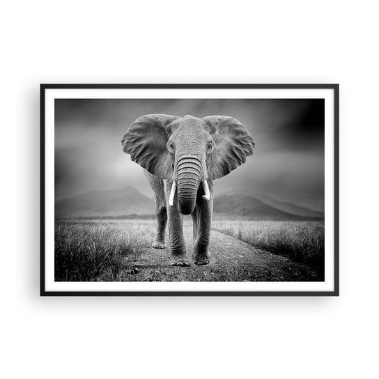 Obraz - Plakat - Gospodarz wita - 100x70cm - Słoń Zwierzęta Krajobraz - Foto Plakaty w ramie koloru czarnego do Salonu Sypialni ARTTOR ARTTOR