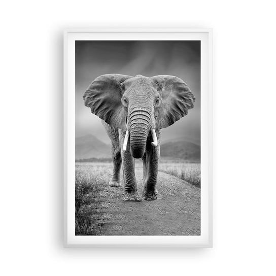 Obraz - Plakat - Gospodarz wita - 61x91cm - Słoń Zwierzęta Krajobraz - Foto Plakaty na ścianę w ramie białej - Plakat do Salonu Sypialni ARTTOR ARTTOR