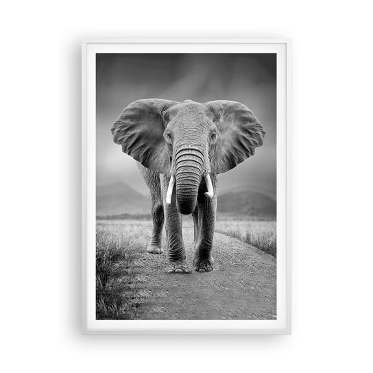 Obraz - Plakat - Gospodarz wita - 70x100cm - Słoń Zwierzęta Krajobraz - Foto Plakaty w ramie koloru białego do Salonu Sypialni ARTTOR ARTTOR