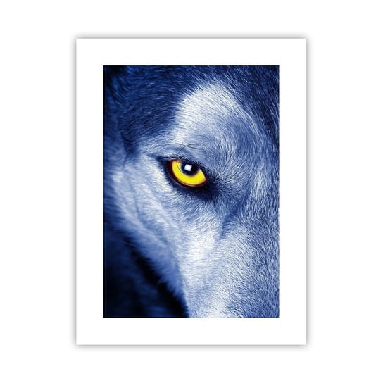 Obraz - Plakat - Hipnotyzujące spojrzenie - 30x40cm - Zwierzęta Wilk Oczy - Foto Plakaty na ścianę bez ramy - Plakat do Salonu Sypialni ARTTOR ARTTOR