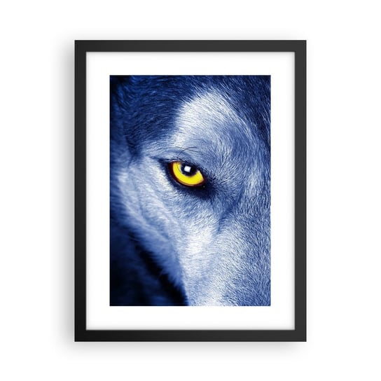 Obraz - Plakat - Hipnotyzujące spojrzenie - 30x40cm - Zwierzęta Wilk Oczy - Foto Plakaty na ścianę w czarnej ramie - Plakat do Salonu Sypialni ARTTOR ARTTOR