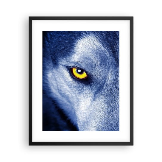 Obraz - Plakat - Hipnotyzujące spojrzenie - 40x50cm - Zwierzęta Wilk Oczy - Foto Plakaty w ramie koloru czarnego do Salonu Sypialni ARTTOR ARTTOR