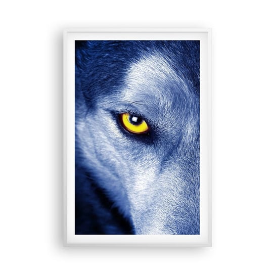 Obraz - Plakat - Hipnotyzujące spojrzenie - 61x91cm - Zwierzęta Wilk Oczy - Foto Plakaty na ścianę w ramie białej - Plakat do Salonu Sypialni ARTTOR ARTTOR