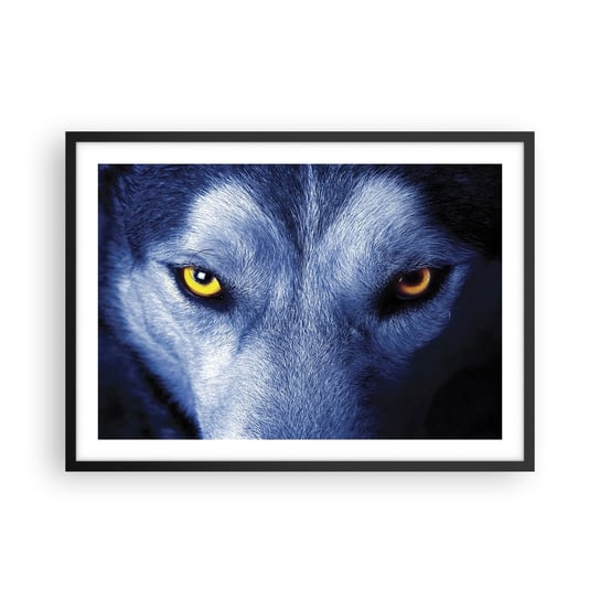 Obraz - Plakat - Hipnotyzujące spojrzenie - 70x50cm - Zwierzęta Wilk Oczy - Nowoczesny modny obraz Plakat czarna rama ARTTOR ARTTOR