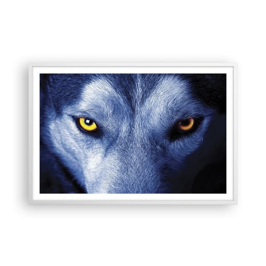 Obraz - Plakat - Hipnotyzujące spojrzenie - 91x61cm - Zwierzęta Wilk Oczy - Foto Plakaty na ścianę w ramie białej - Plakat do Salonu Sypialni ARTTOR ARTTOR