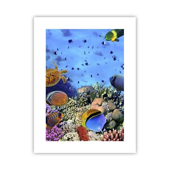 Obraz - Plakat - I co my wiemy o życiu... - 30x40cm - Rafa Koralowa Podwodny Świat Ryby - Foto Plakaty na ścianę bez ramy - Plakat do Salonu Sypialni ARTTOR ARTTOR