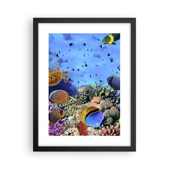 Obraz - Plakat - I co my wiemy o życiu... - 30x40cm - Rafa Koralowa Podwodny Świat Ryby - Foto Plakaty na ścianę w czarnej ramie - Plakat do Salonu Sypialni ARTTOR ARTTOR
