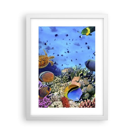 Obraz - Plakat - I co my wiemy o życiu... - 30x40cm - Rafa Koralowa Podwodny Świat Ryby - Foto Plakaty na ścianę w ramie białej - Plakat do Salonu Sypialni ARTTOR ARTTOR