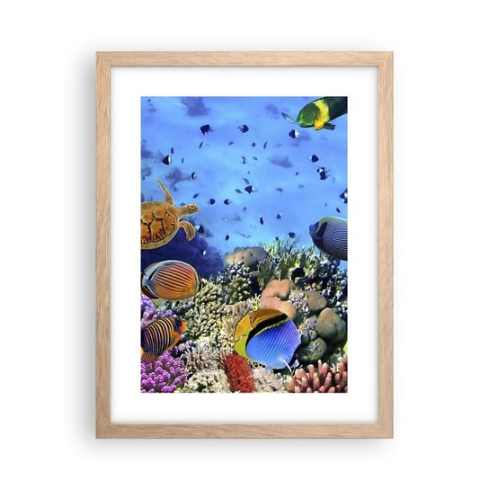 Obraz - Plakat - I co my wiemy o życiu... - 30x40cm - Rafa Koralowa Podwodny Świat Ryby - Foto Plakaty na ścianę w ramie jasny dąb - Plakat do Salonu Sypialni ARTTOR ARTTOR