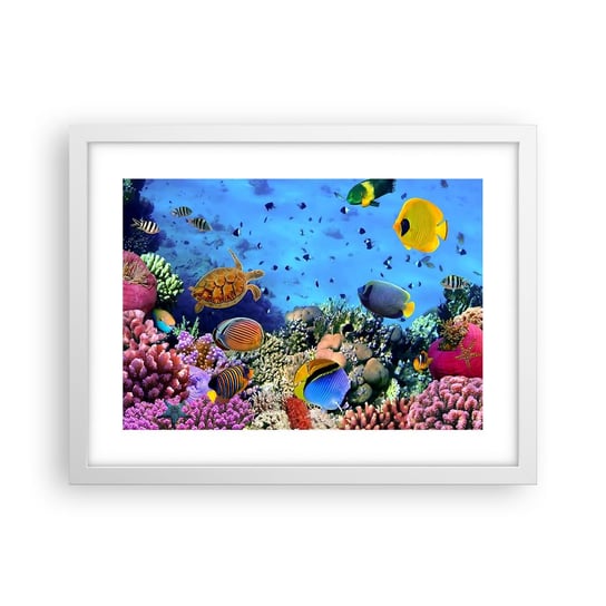 Obraz - Plakat - I co my wiemy o życiu... - 40x30cm - Rafa Koralowa Podwodny Świat Ryby - Foto Plakaty na ścianę w ramie białej - Plakat do Salonu Sypialni ARTTOR ARTTOR