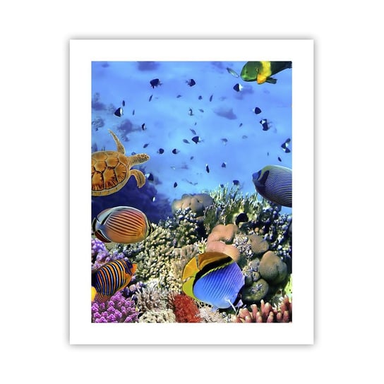 Obraz - Plakat - I co my wiemy o życiu... - 40x50cm - Rafa Koralowa Podwodny Świat Ryby - Foto Plakaty bez ramy do Salonu Sypialni ARTTOR ARTTOR