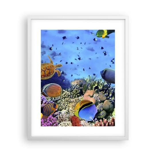 Obraz - Plakat - I co my wiemy o życiu... - 40x50cm - Rafa Koralowa Podwodny Świat Ryby - Foto Plakaty w ramie koloru białego do Salonu Sypialni ARTTOR ARTTOR