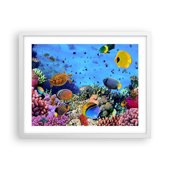 Obraz - Plakat - I co my wiemy o życiu... - 50x40cm - Rafa Koralowa Podwodny Świat Ryby - Foto Plakaty w ramie koloru białego do Salonu Sypialni ARTTOR ARTTOR
