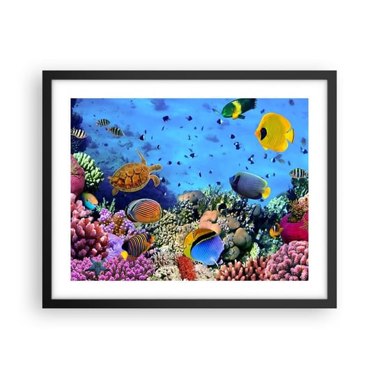 Obraz - Plakat - I co my wiemy o życiu... - 50x40cm - Rafa Koralowa Podwodny Świat Ryby - Foto Plakaty w ramie koloru czarnego do Salonu Sypialni ARTTOR ARTTOR